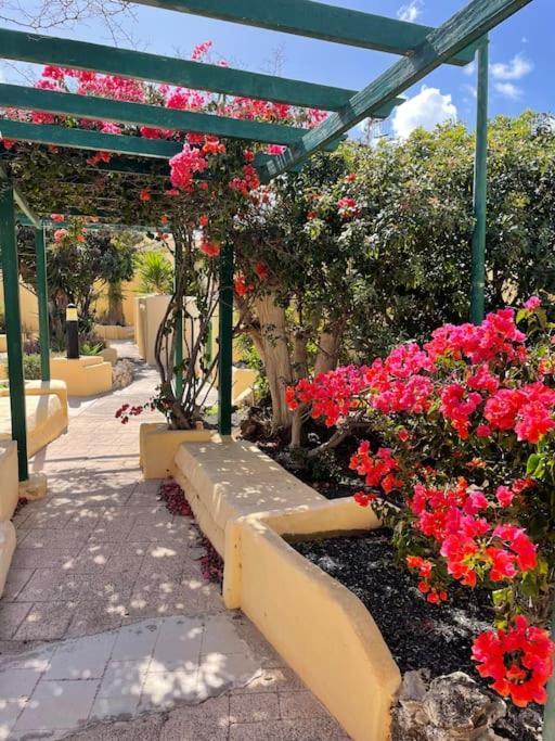 Fuertevilla Apartment Costa Calma