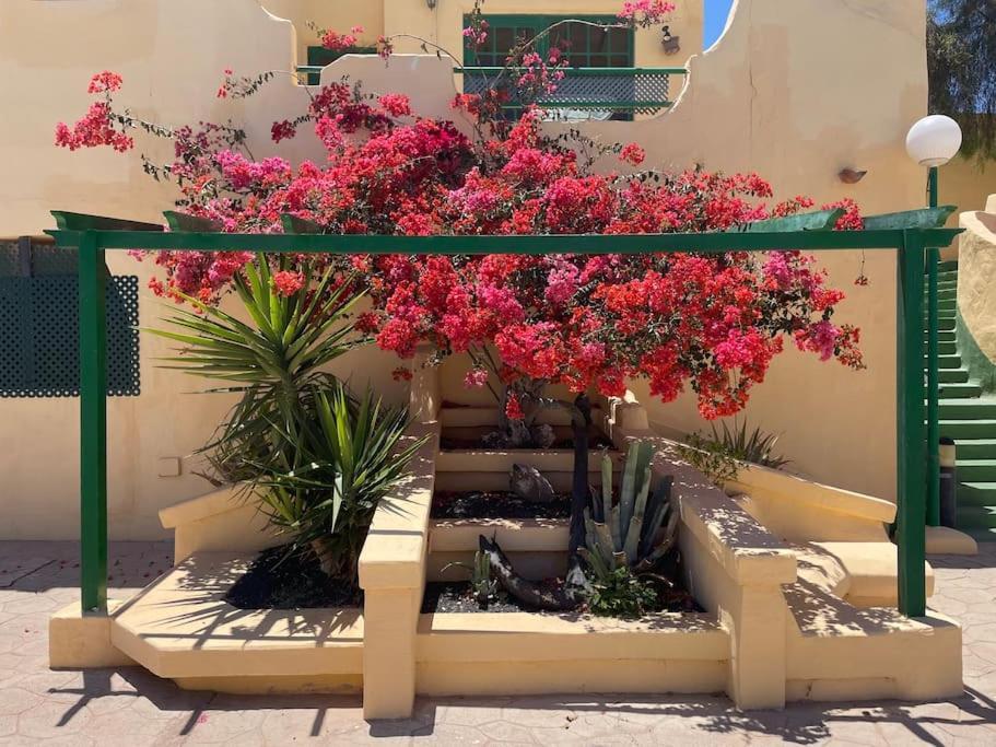 Fuertevilla Apartment